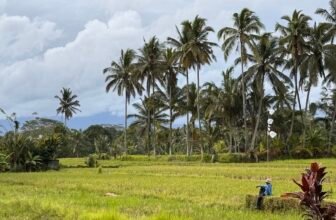 The Feeling We Forgot… Until This Trip Brought It Back