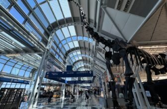 FAA orders flight reductions at Chicago’s O’Hare this summer