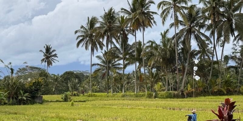 The Feeling We Forgot… Until This Trip Brought It Back