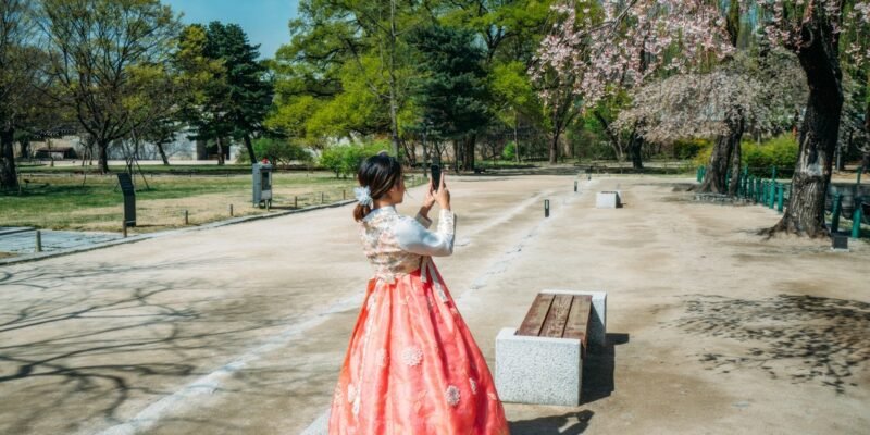 12 best places in the world to see cherry blossoms